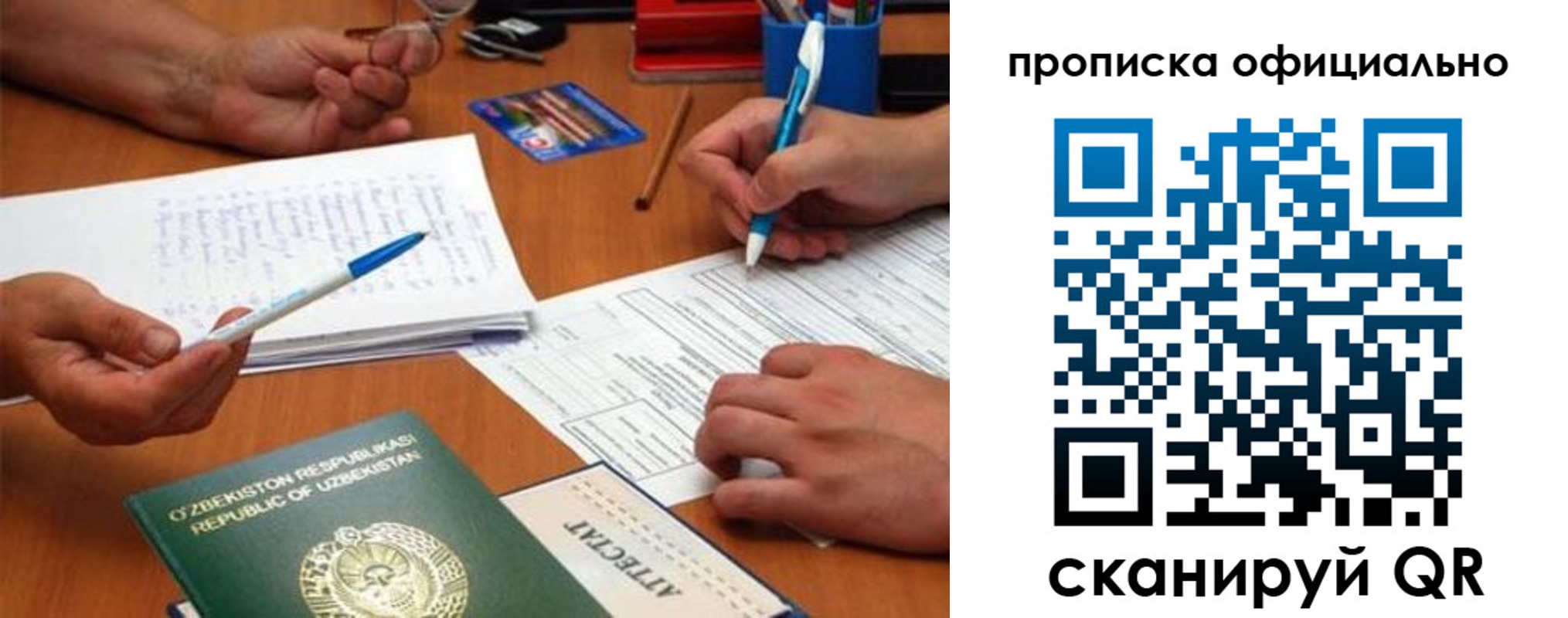 прописка поиск в Коле
